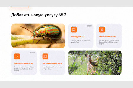 Пример анимированного слайда: «Добавить новую услугу № 3» — карточки услуг и фото жука и оленёнка