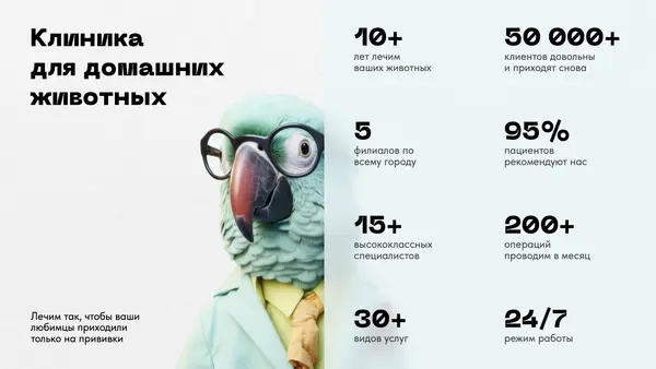 Слайд содержит информацию о клинике для домашних животных: статистика по клиентам, специалистам, услугам и графическое изображение попугая в очках.