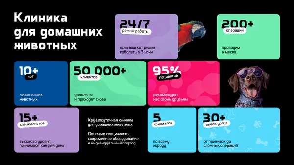 Слайд содержит информацию о клинике для домашних животных: статистика клиентов, количество операций, специалистов и режим работы, оформленная яркими блоками с изображениями животных.